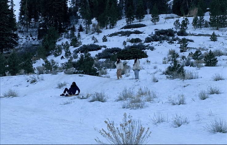 techie members enjoying the snow at Big Bear